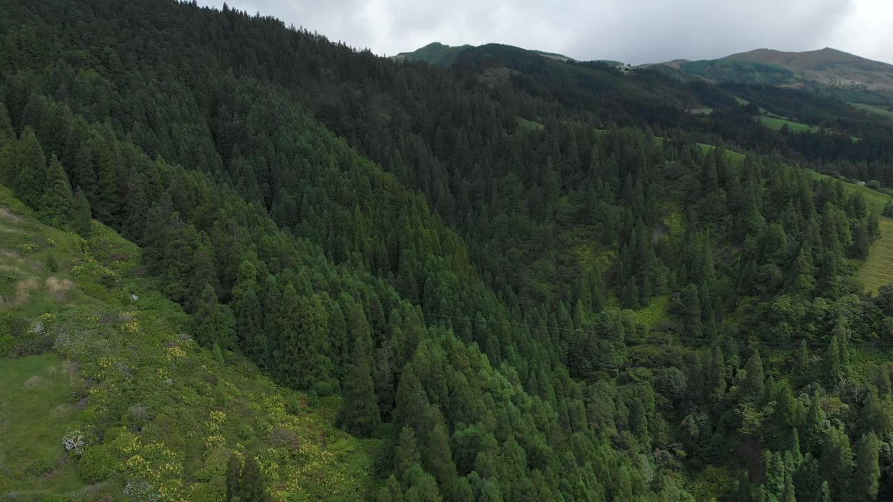 在亚速尔群岛令人惊叹的火山口上空飞行的绿色森林视频素材