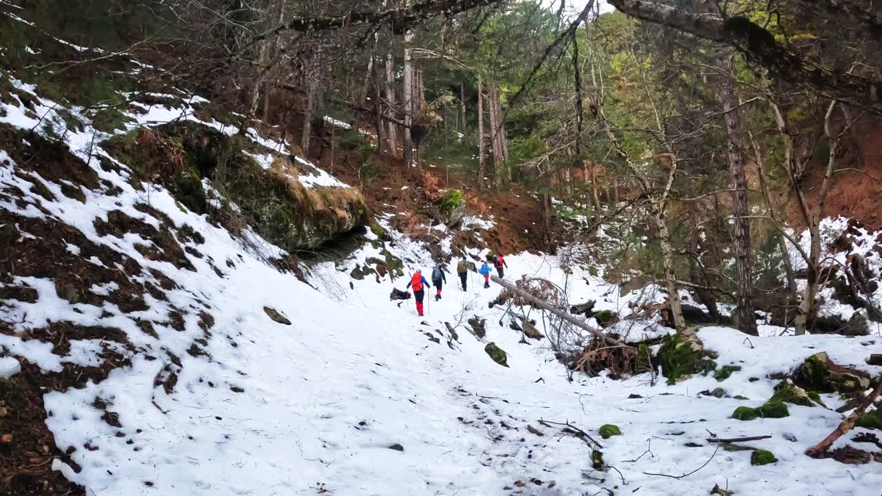 登山队员在晨光中漫步在平静的雪林和树木中，秋色很美视频素材