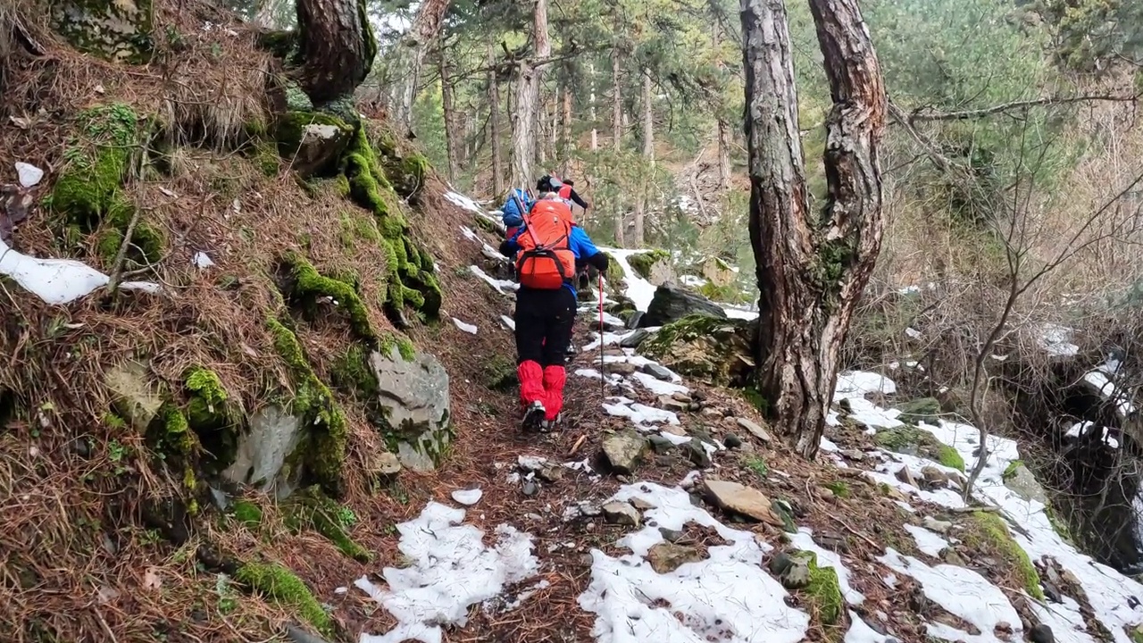 登山队员在晨光中漫步在平静的雪林和树木中，秋色很美视频素材