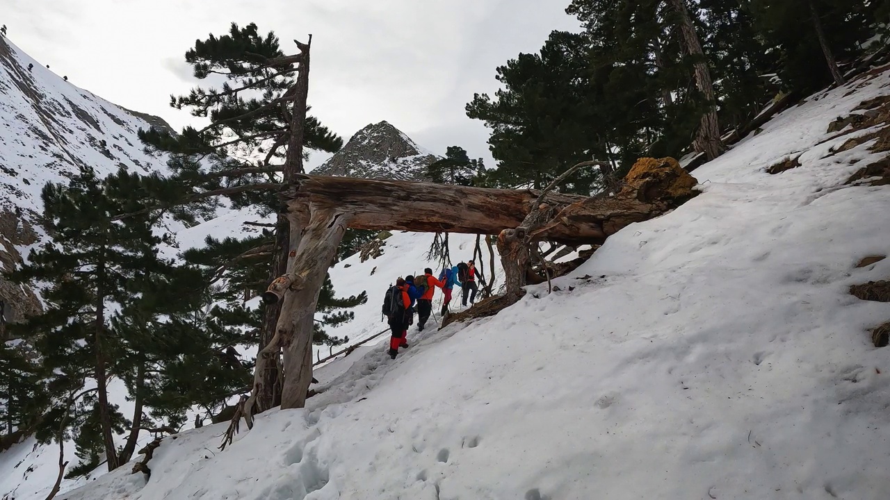 登山队员在晨光中漫步在平静的雪林和树木中，秋色很美视频素材