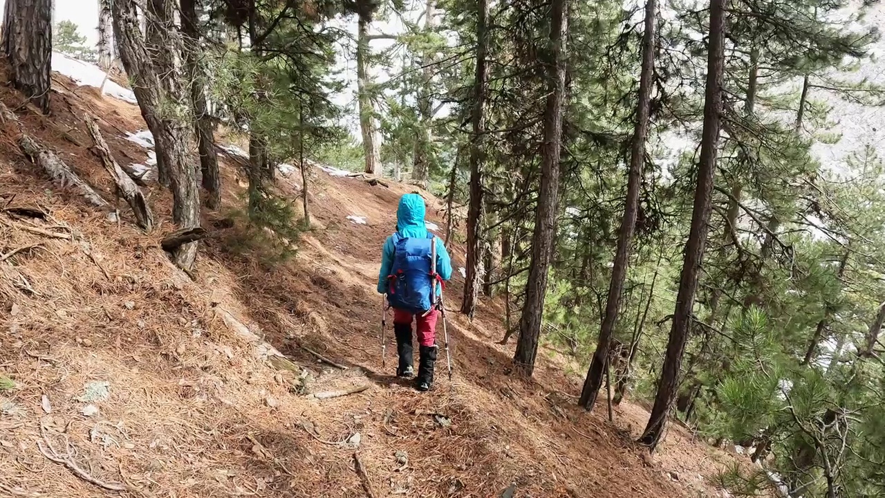 一位女登山者在晨光中走在平静的雪林和树木中，秋色很美视频素材