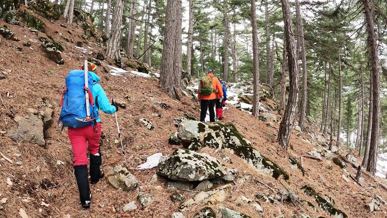 登山队员在晨光中漫步在平静的雪林和树木中，秋色很美视频素材