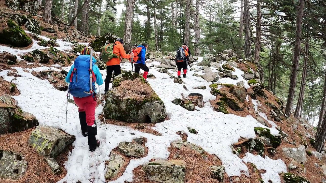 登山队员在晨光中漫步在平静的雪林和树木中，秋色很美视频素材