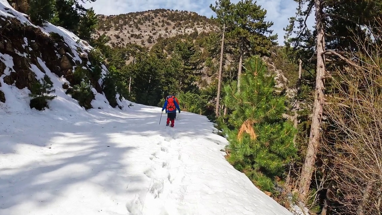 登山队员在晨光中漫步在平静的雪林和树木中，秋色很美视频素材