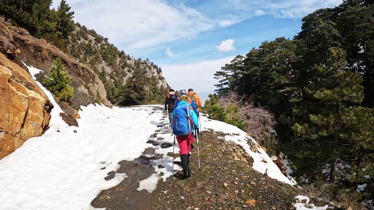 登山队员在晨光中漫步在平静的雪林和树木中，秋色很美视频素材