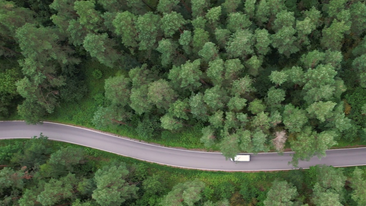 鸟瞰图白色汽车行驶在柏油路穿越广阔的森林在夏日。航拍汽车行驶在松树林中的道路。森林自驾游。夏日风光。视频素材