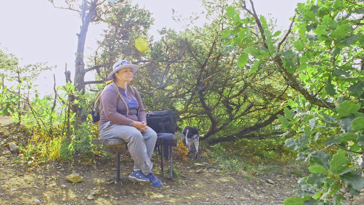 沿着徒步小径在山上徒步。一个胖女人坐在长凳上，旁边是一只正在散步的狗和一个背包。和宠物一起积极休息。健康的生活方式视频素材