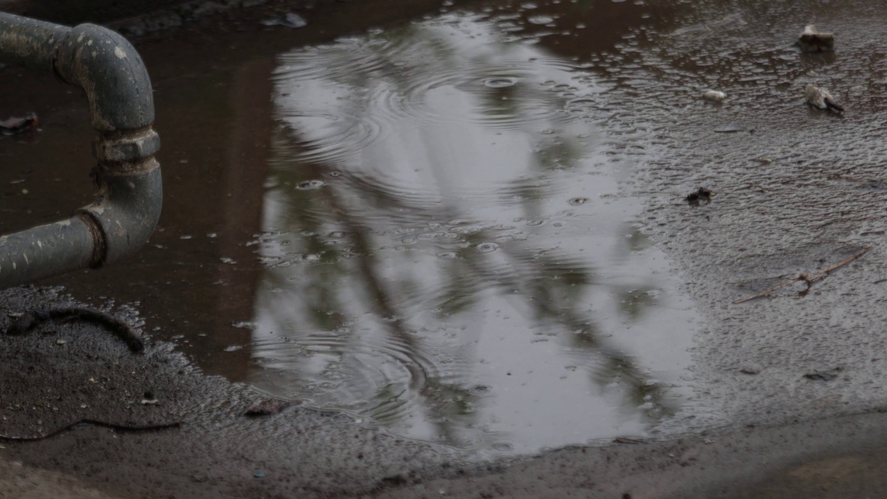 雨视频素材