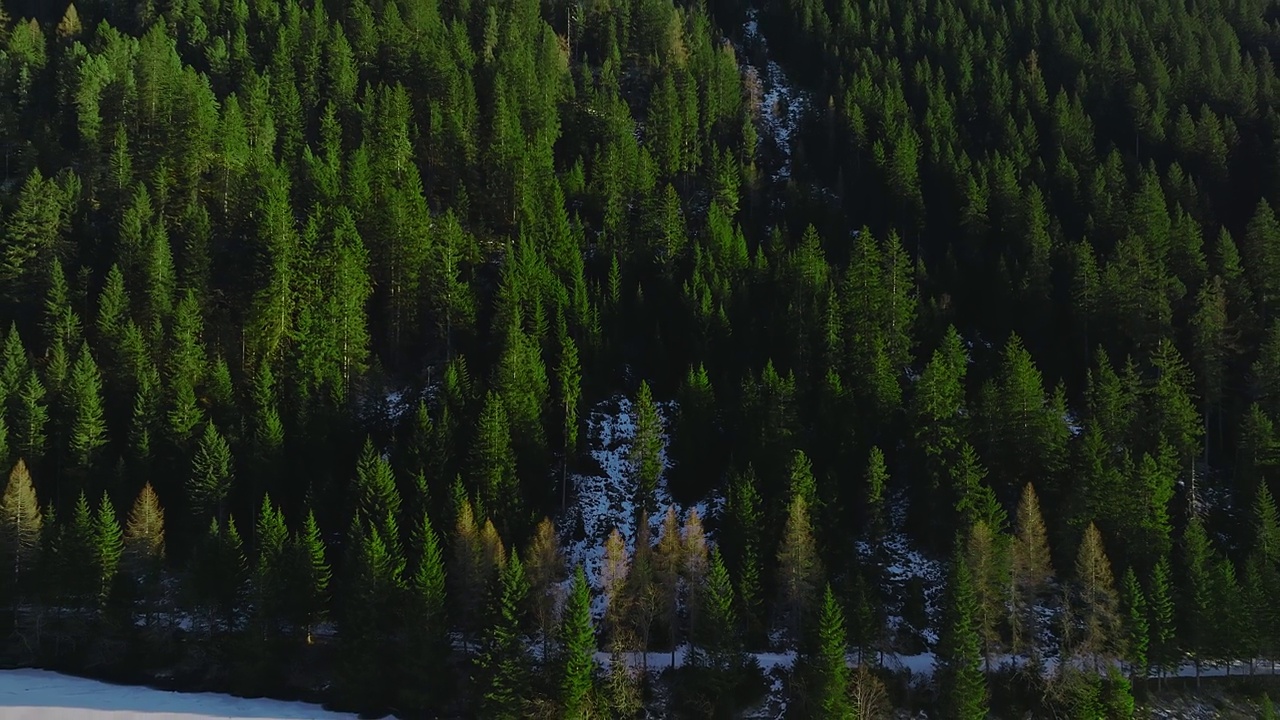 鸟瞰图的雪岩悬崖与森林在湖边。戏剧性和风景如画的场景。视频素材