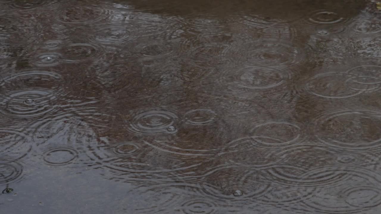 雨视频素材