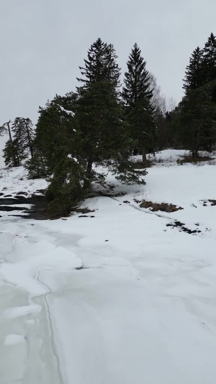 雪峡湾垂直视频素材