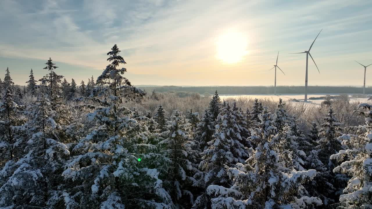 缓慢的相机移动围绕冬天的景观，冷杉树覆盖着雪和风车的背景。松树上覆盖着雪。航拍的风车在一个下雪的冬季景观。视频素材