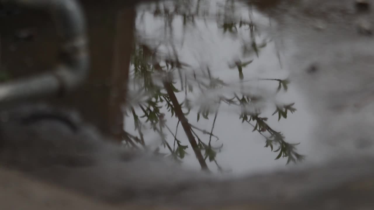 雨视频素材