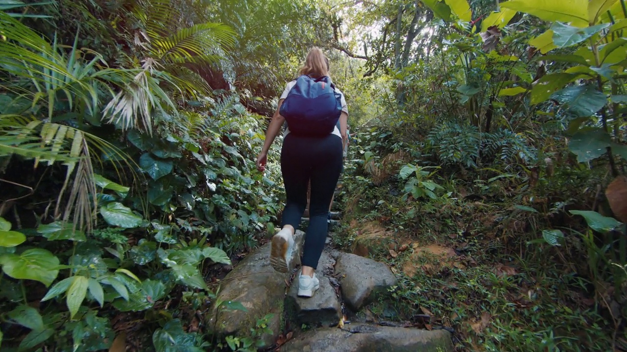 一家人在热带森林里徒步旅行。带着孩子的大家庭探索小径，在郁郁葱葱的丛林中徒步旅行视频素材