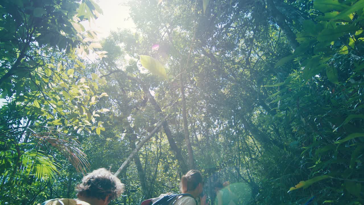 一家人在热带森林里徒步旅行。带着孩子的大家庭探索小径，在郁郁葱葱的丛林中徒步旅行视频素材