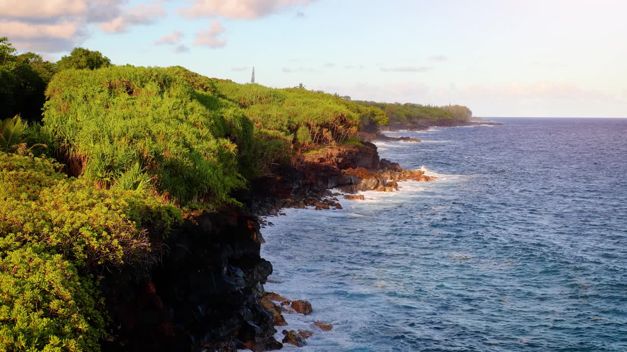 夏威夷大岛郁郁葱葱的海岸视频素材