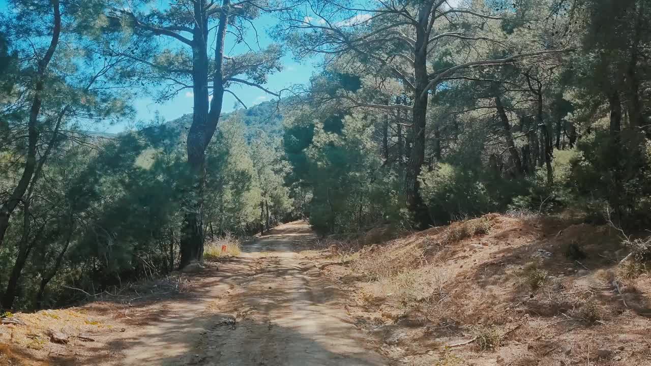 在森林地区的泥土地上开车旅行视频素材