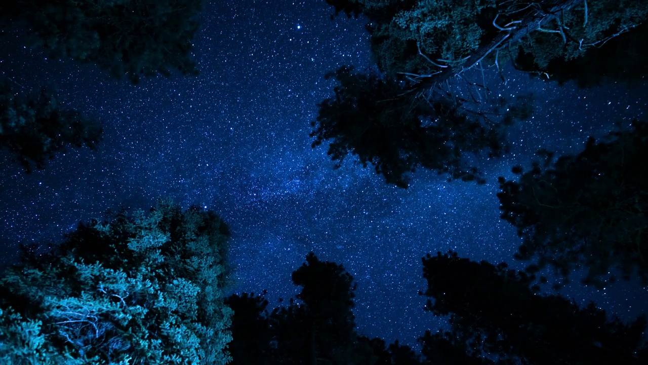 红杉国家公园银河系和英仙座流星雨仰望森林内华达山脉加州视频素材