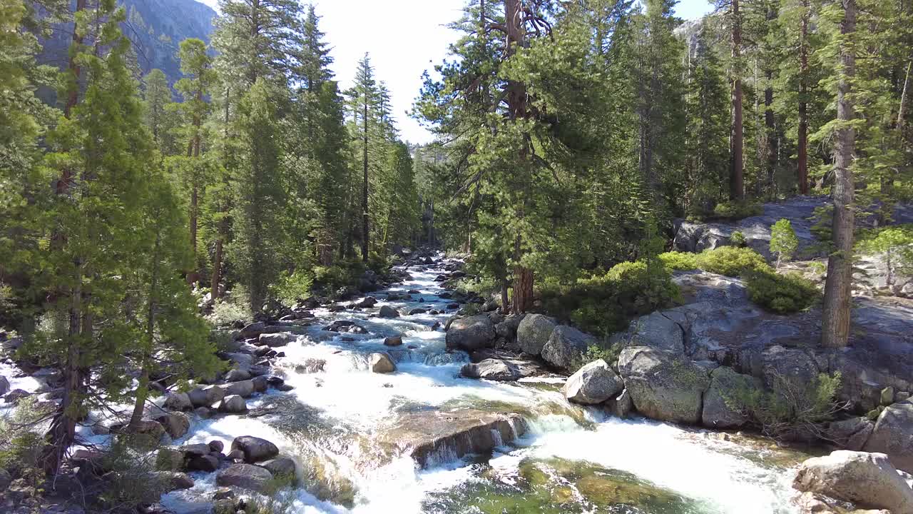 河流穿过约塞米蒂森林中的岩石视频素材