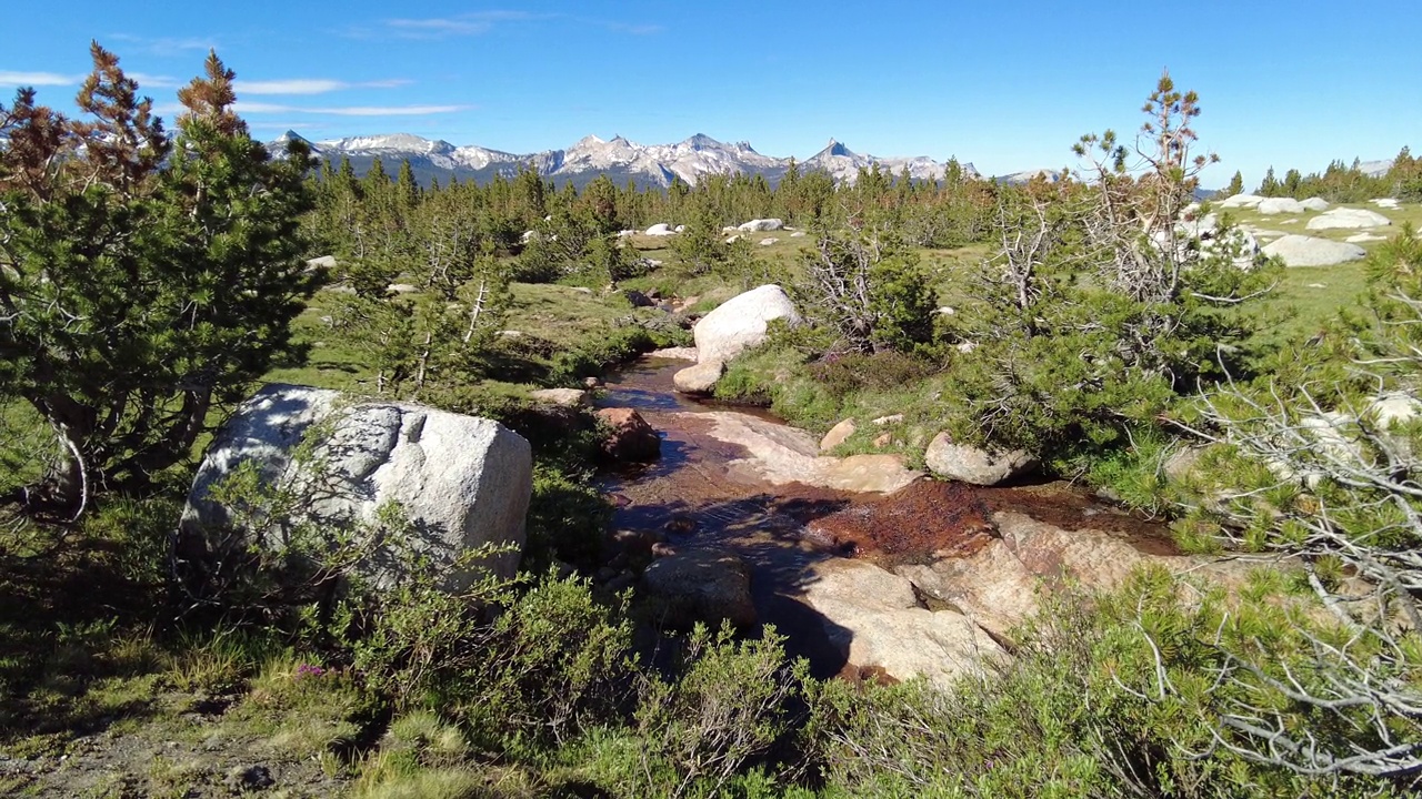 小溪流经约塞米蒂大教堂山脉下的草地视频素材