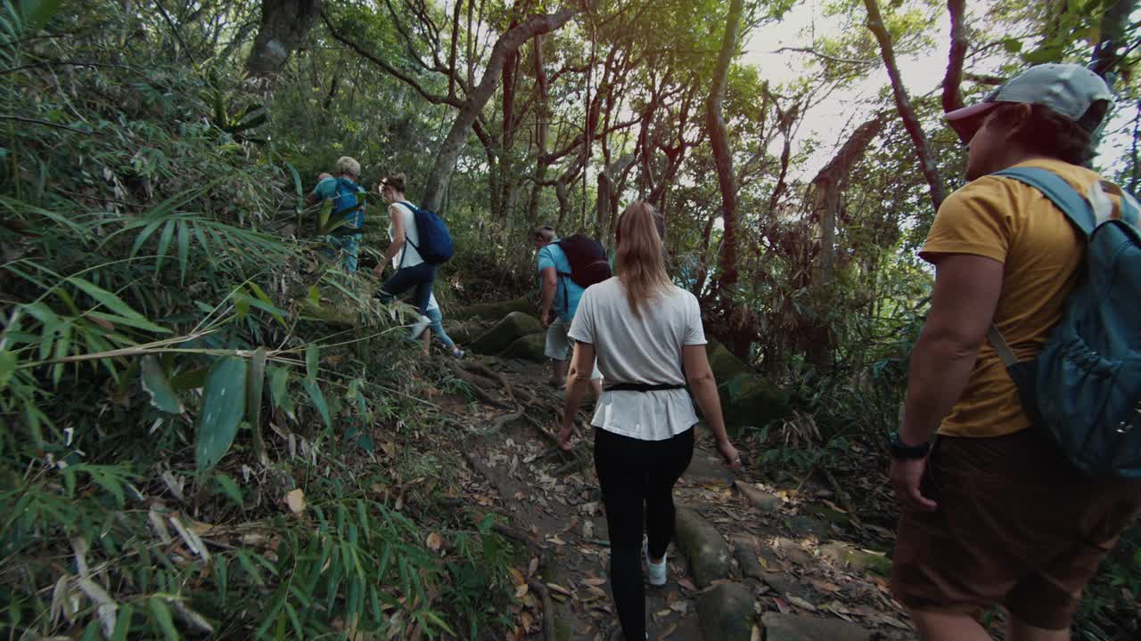 一家人在热带森林里徒步旅行。带着孩子的大家庭探索小径，在郁郁葱葱的丛林中徒步旅行视频素材