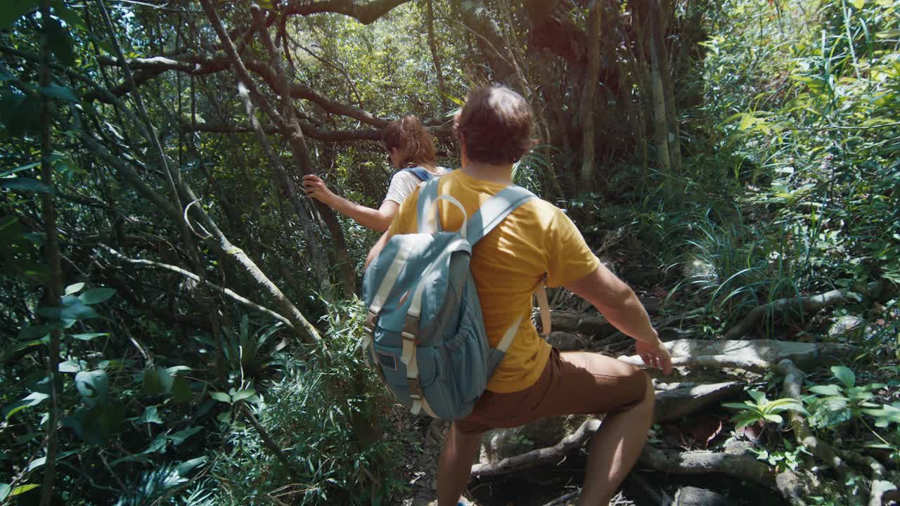 一对情侣在茂密的森林里徒步旅行。年轻的男女走在小径上，探索丛林深处视频素材