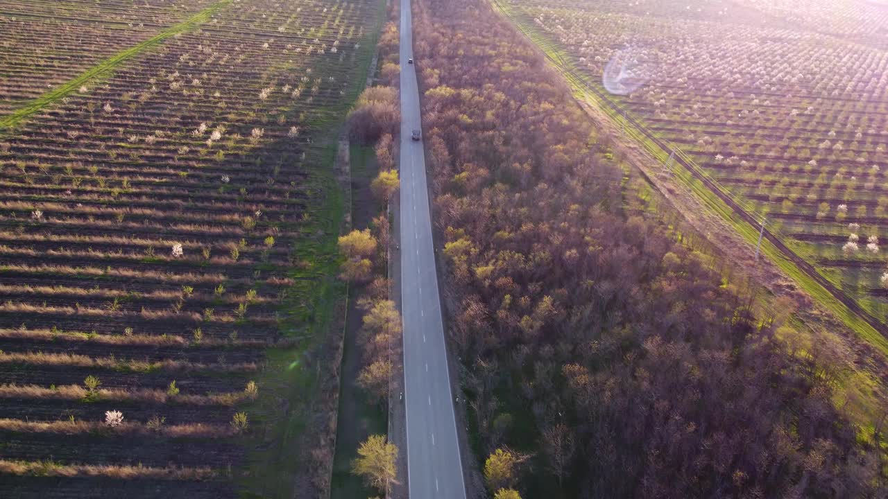 种植园间乡间小路上的车辆视频素材