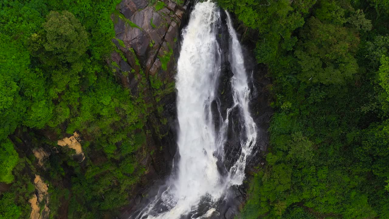 热带山地丛林中的瀑布。斯里兰卡。视频素材