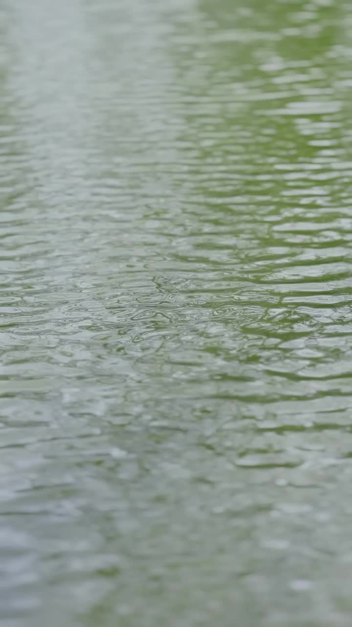 湖水视频素材