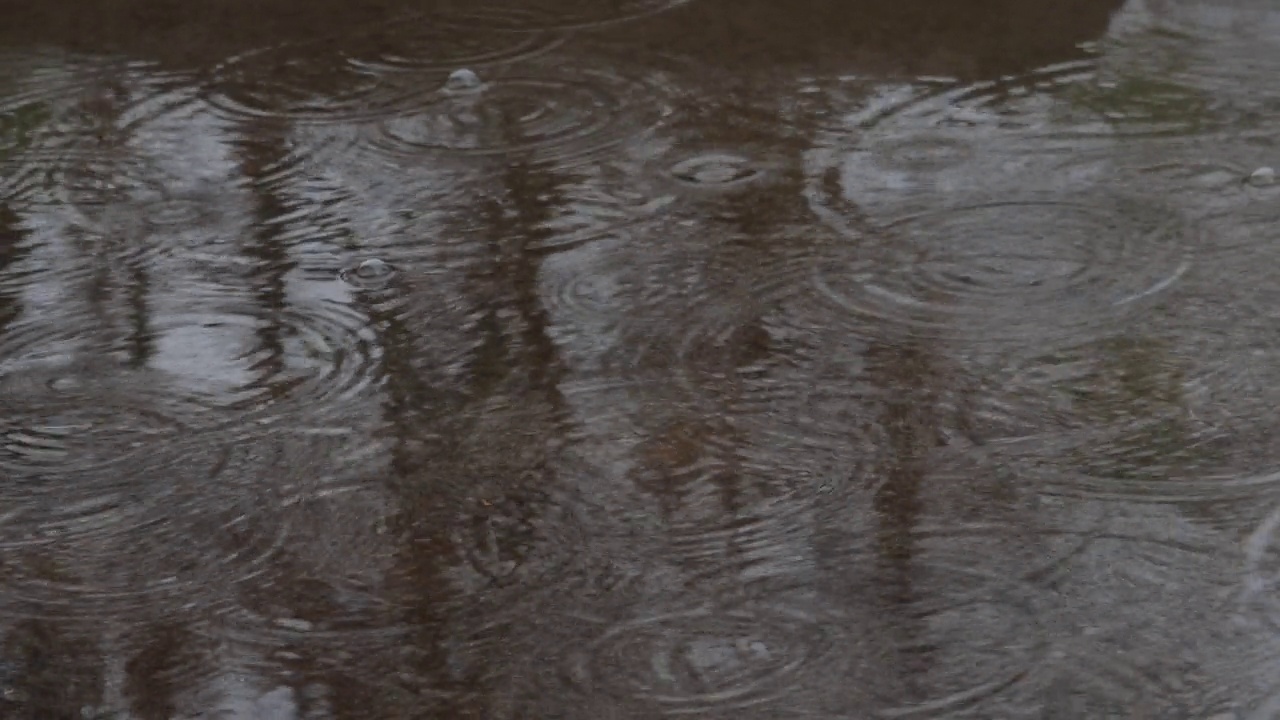 雨视频素材