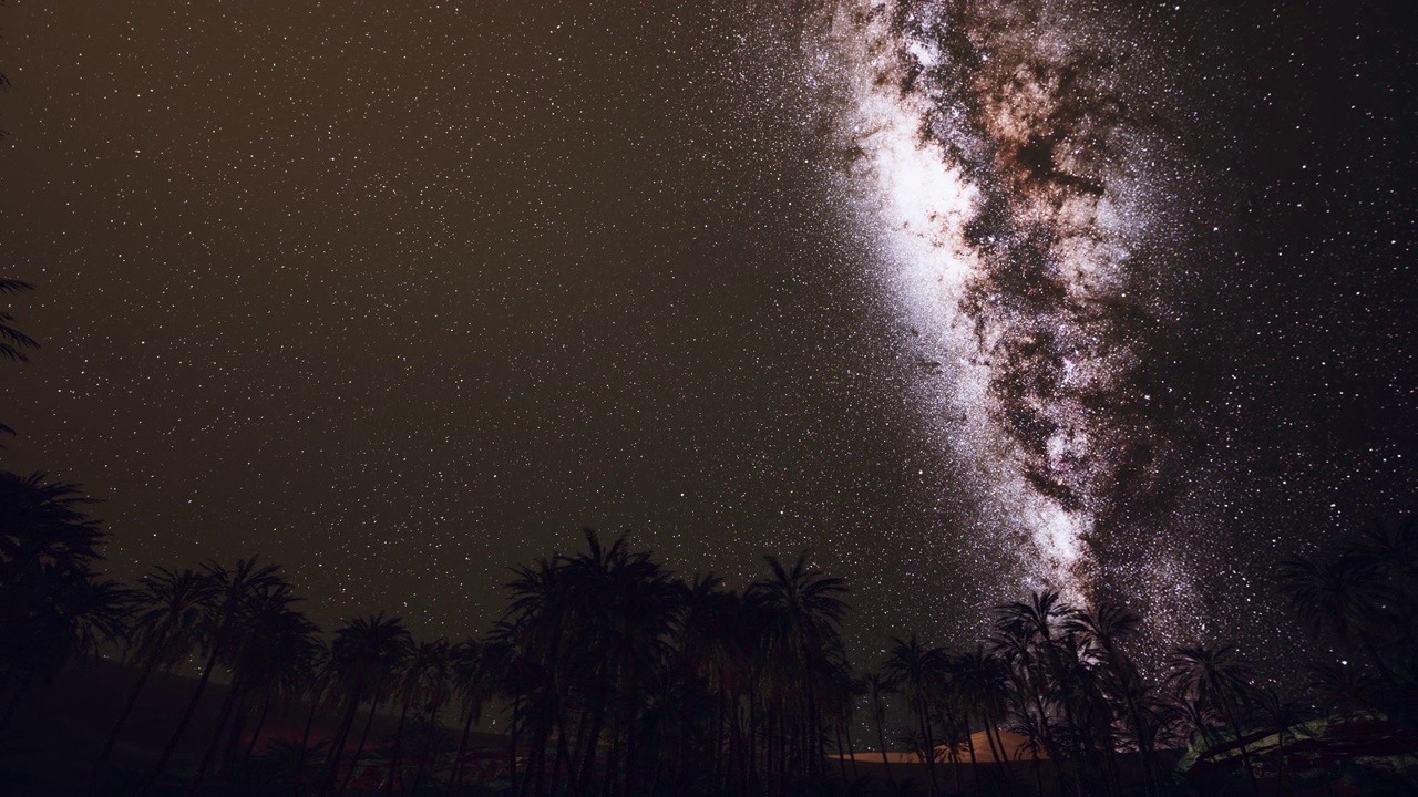 繁星点点的夜空映衬着椰树视频素材