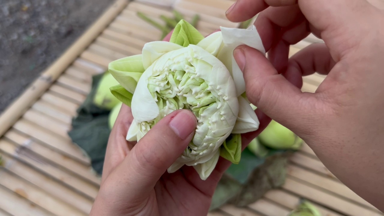 ํYoung woman folded lotus.视频素材