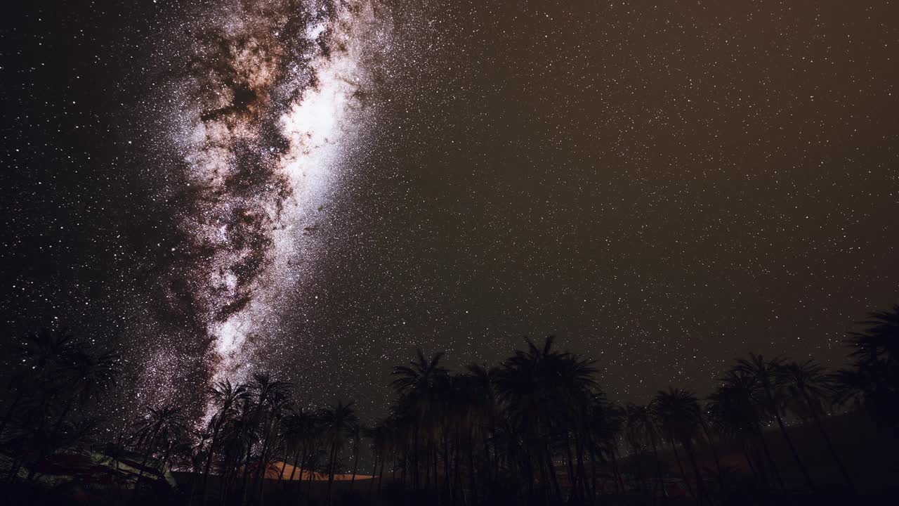 夜间拍摄，背景是棕榈树和银河视频素材