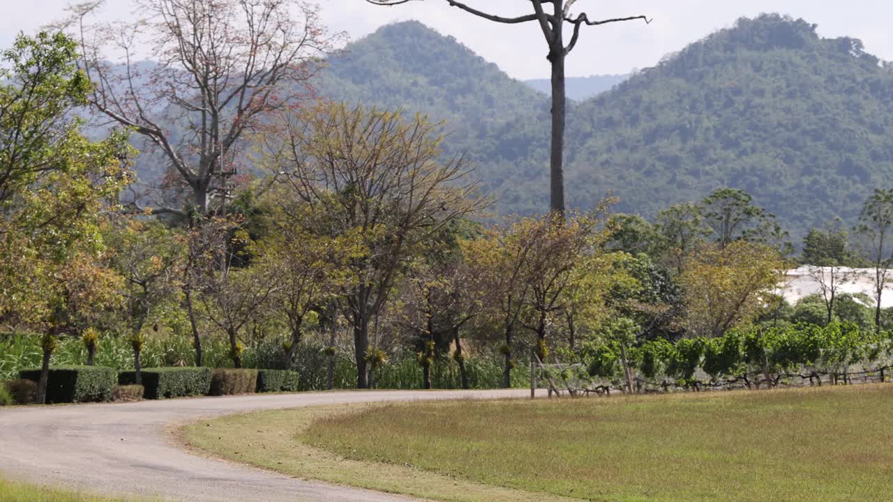 宁静的山景与乡村风景优美的道路视频素材