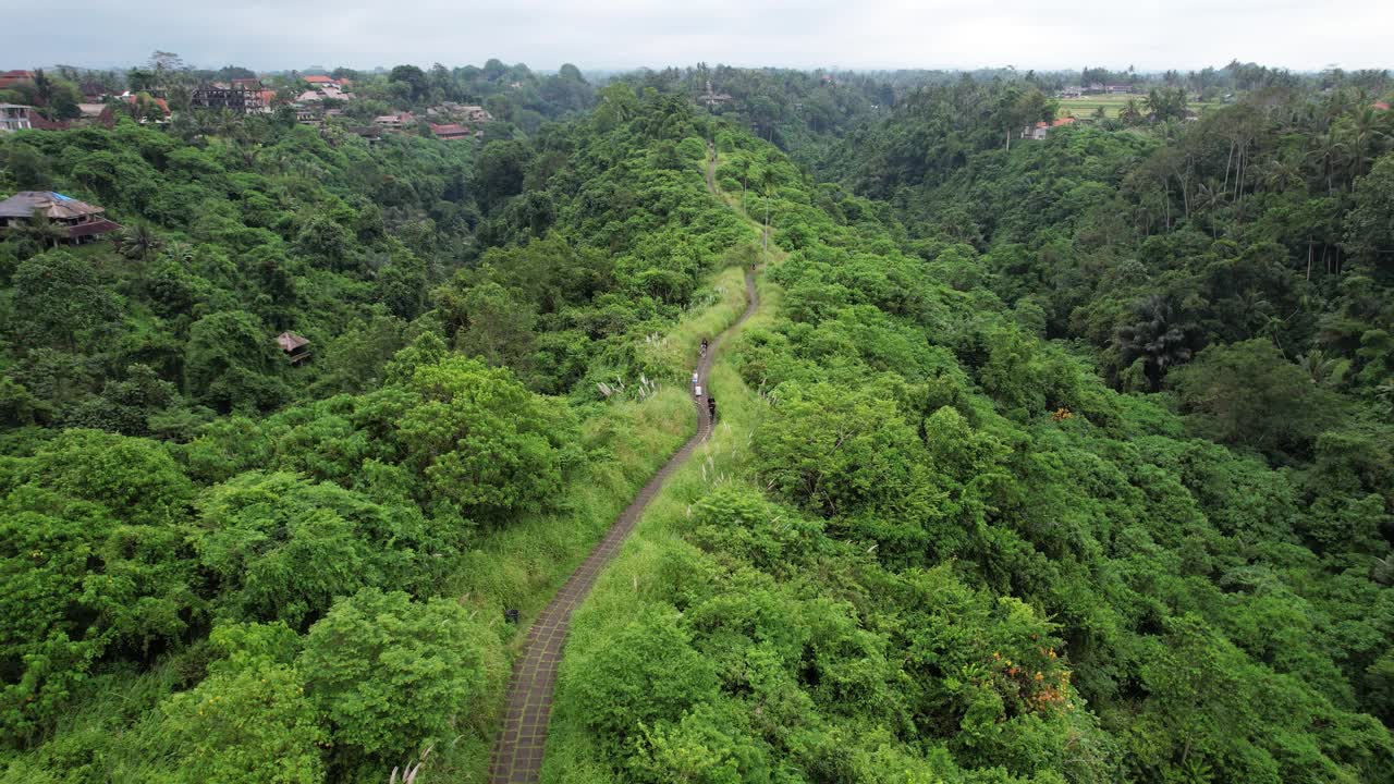 步道沿着山顶延伸，四周是茂密的热带植被视频素材