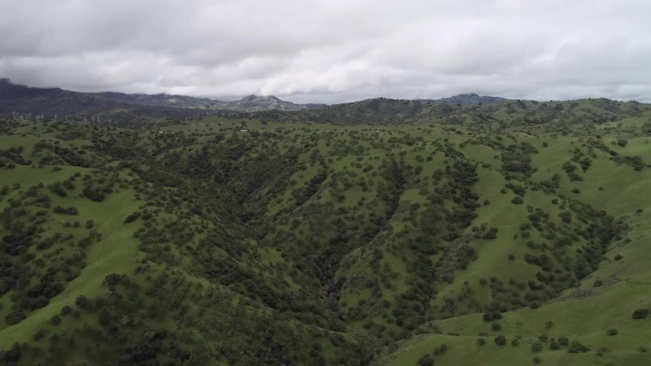 洛斯巴诺斯附近的上Cottonwood Creek野生动物区。加州。美国。背景中的山脉视频素材