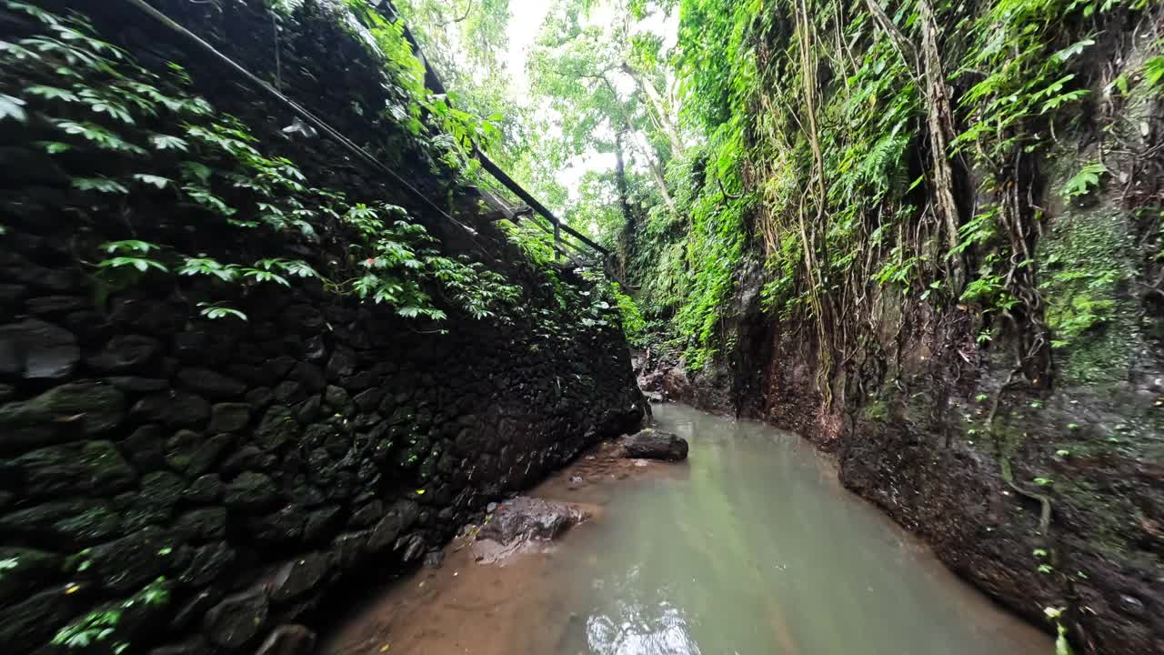 飞越雨林中的峡谷。巴厘岛的绿色森林。视频素材