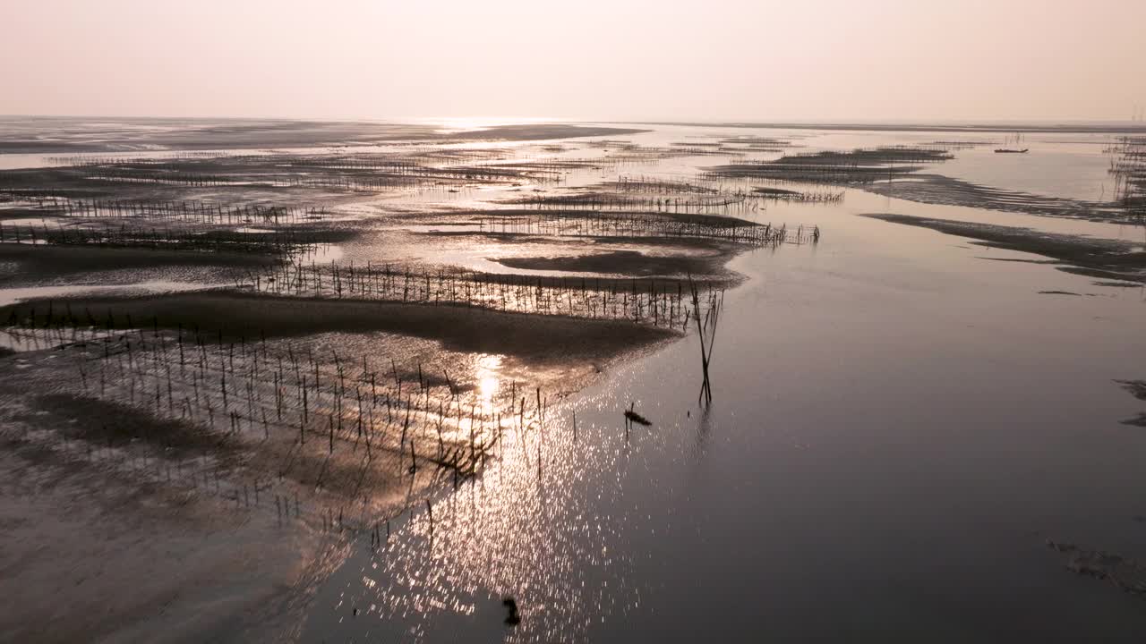 沿海牡蛎养殖场鸟瞰图视频素材