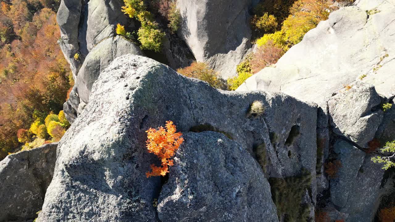 在阳光明媚的日子里，无人机在森林山脉和岩石丘陵上的景观视频素材