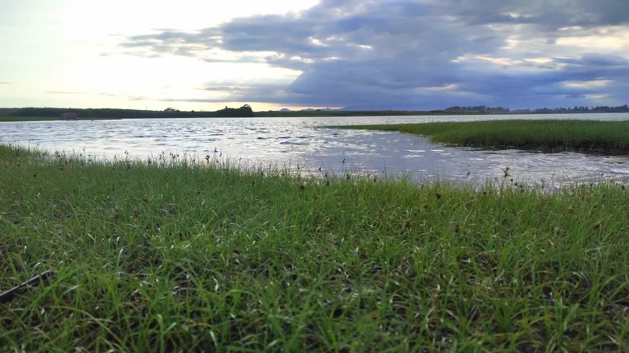 草地上有清澈平静的水视频素材