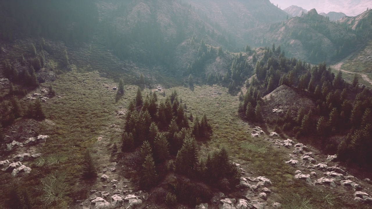 森林边缘的高山草地上蜿蜒的山路视频素材