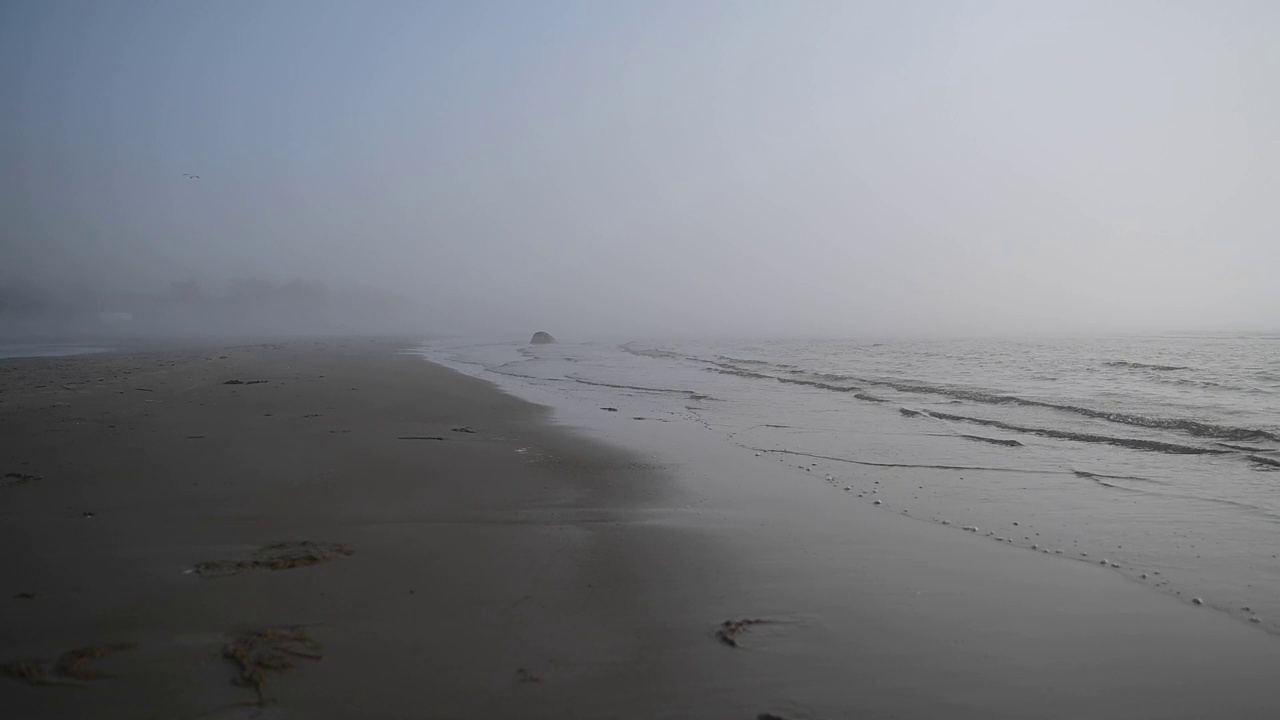 波罗的海的海滩被雾覆盖视频素材