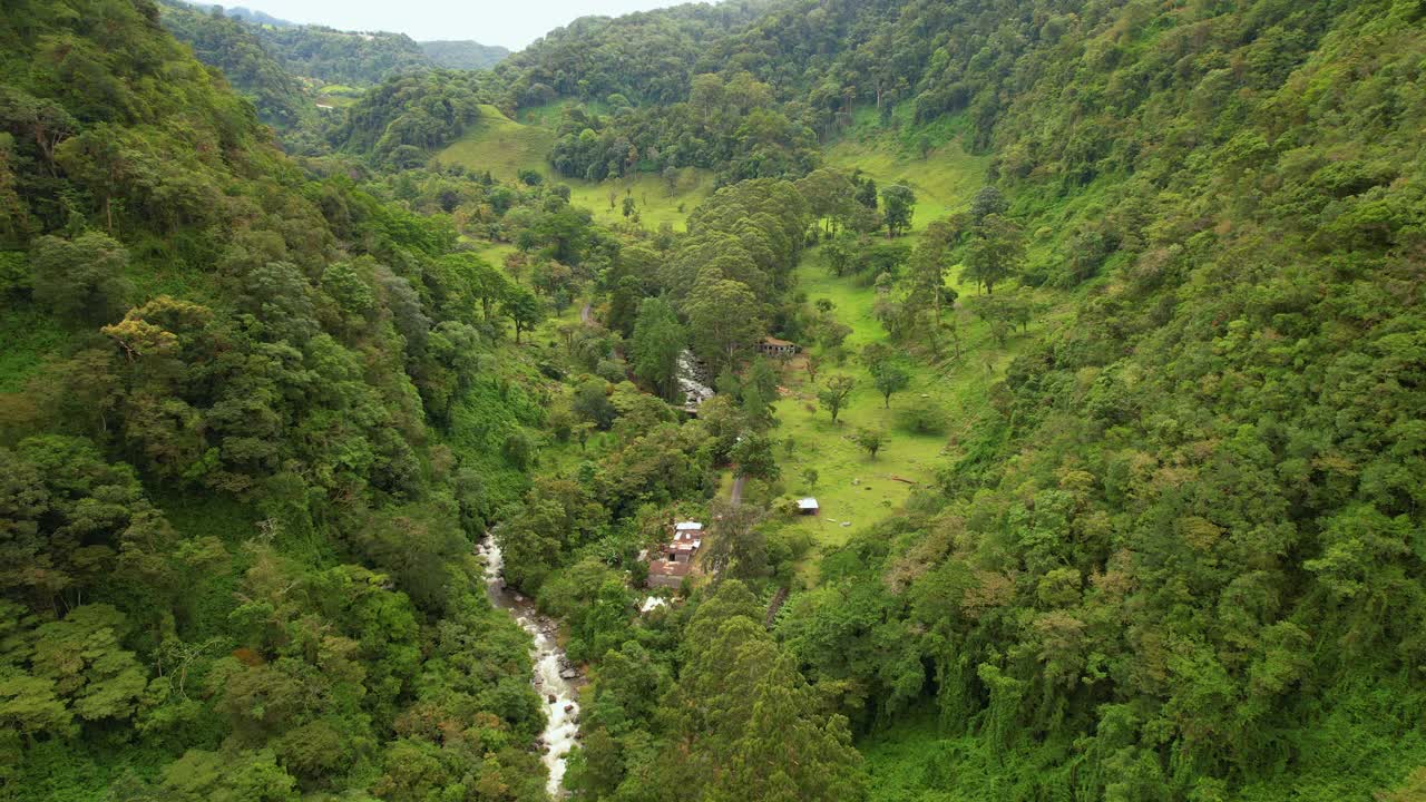 狭窄的山谷长满了异国情调的森林和快速流动的火山口河视频素材