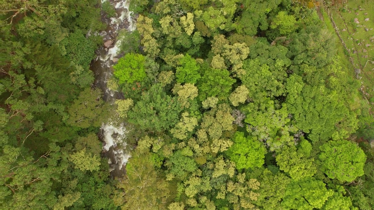 空中俯瞰:巴拿马高原上急流湍急的火山口河视频素材