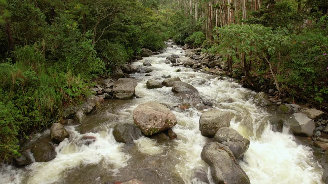 美丽的火山口河穿过茂密的热带雨林视频素材