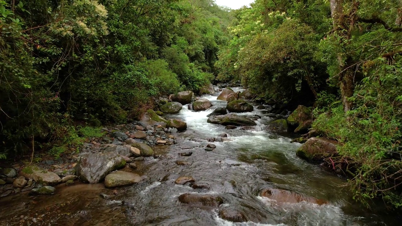 航拍:岩石河床，新鲜的火山口河流经茂密的雨林视频素材