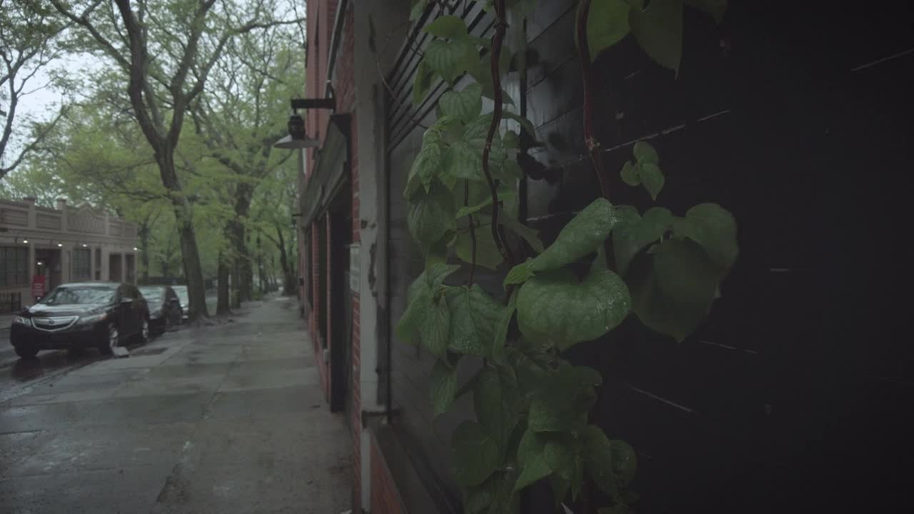 布鲁克林高地的雨天视频素材