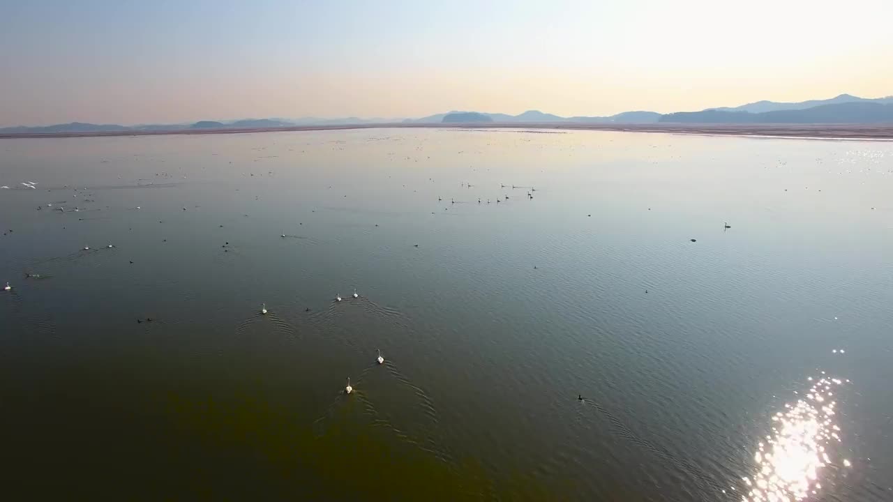 韩国京畿道安山市大松湖/檀园区视频素材