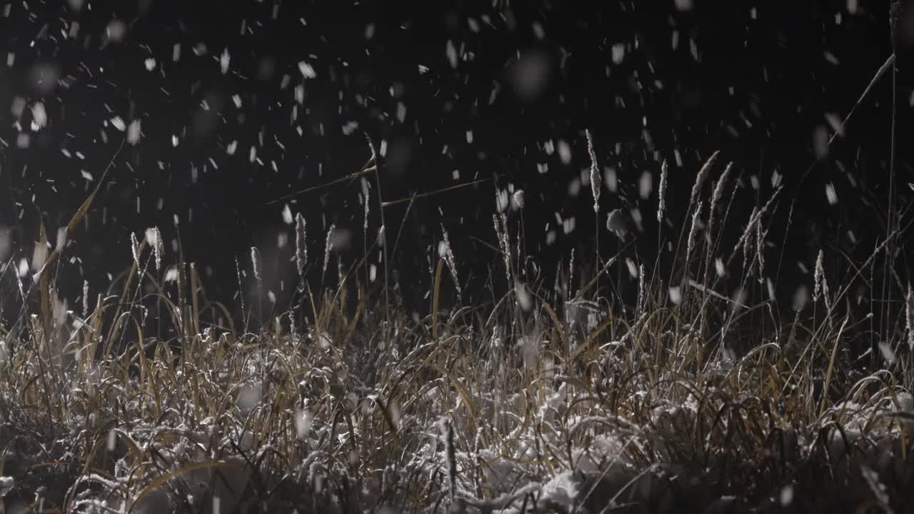 雪甸/檀园区，安山市，京畿道，韩国视频素材