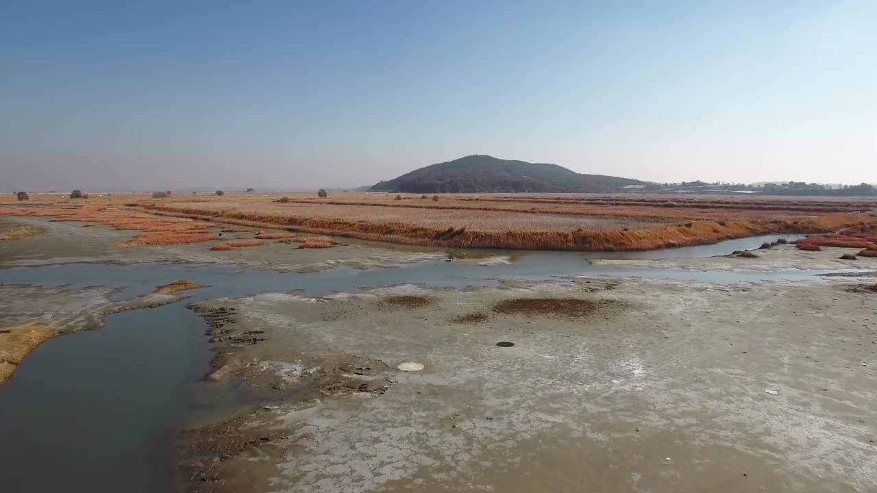 秋天的诗华草地/檀园区，安山市，京畿道，韩国视频素材